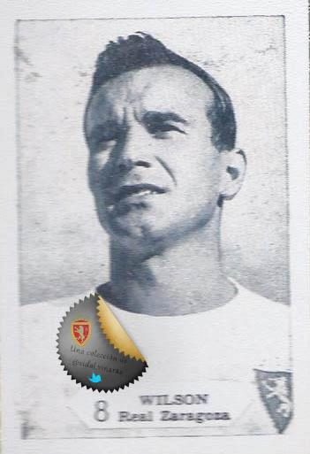 8 WILSON