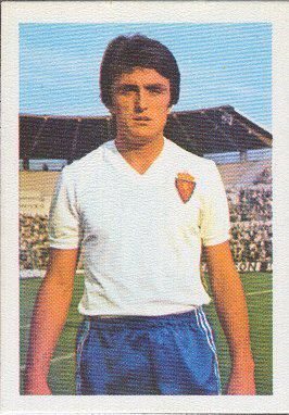 RADOMIR ANTIC