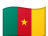 Bandera de Camerún