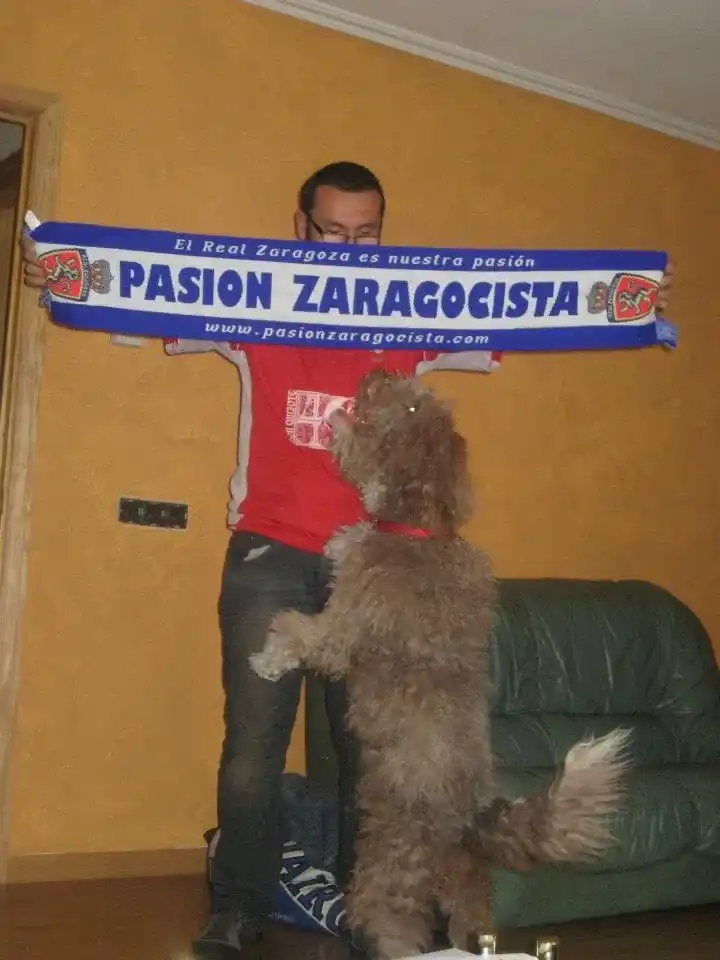 Pasión Zaragocista on Tour