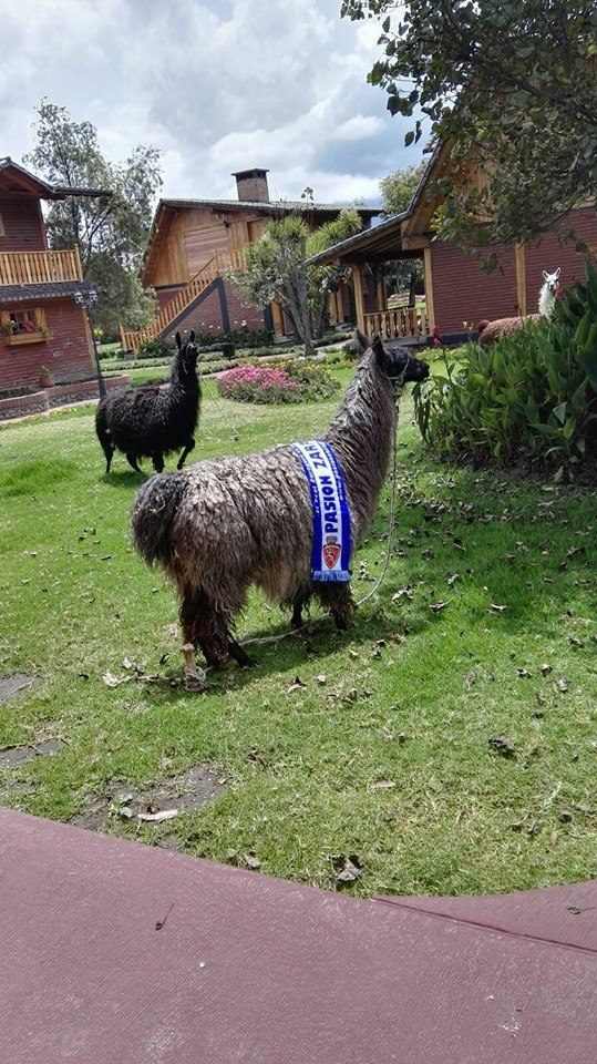 Pasión Zaragocista on Tour