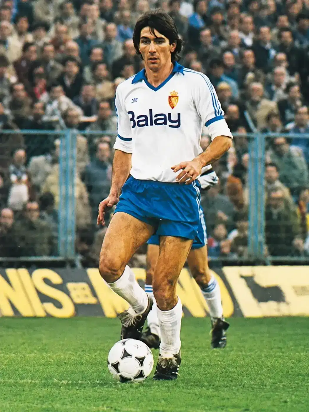Ivica Šurjak