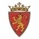 Pieza histórica de escudo 4
